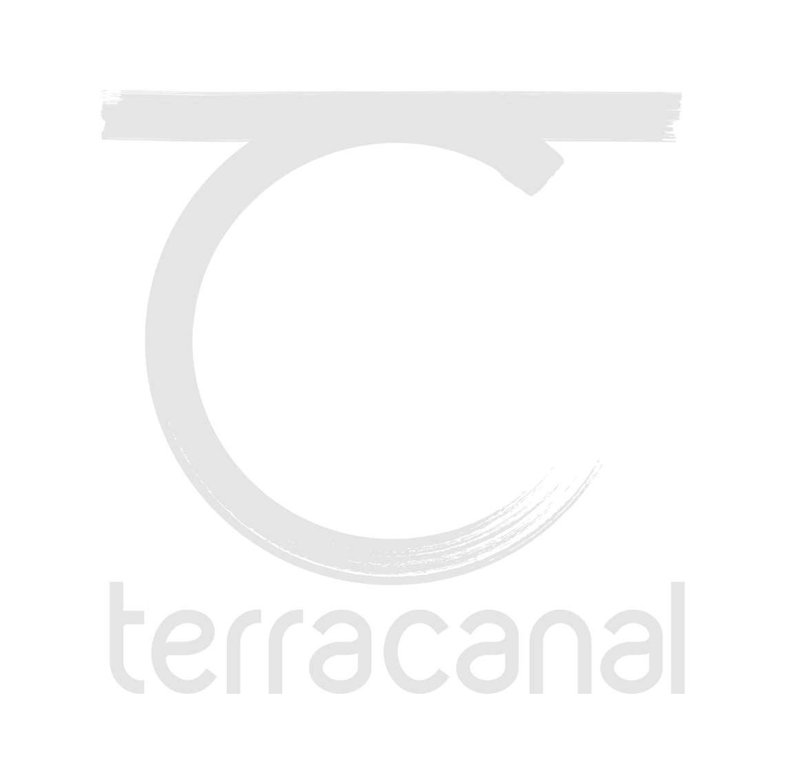 Logo de Terracanal.